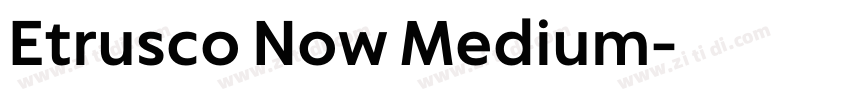 Etrusco Now Medium字体转换
